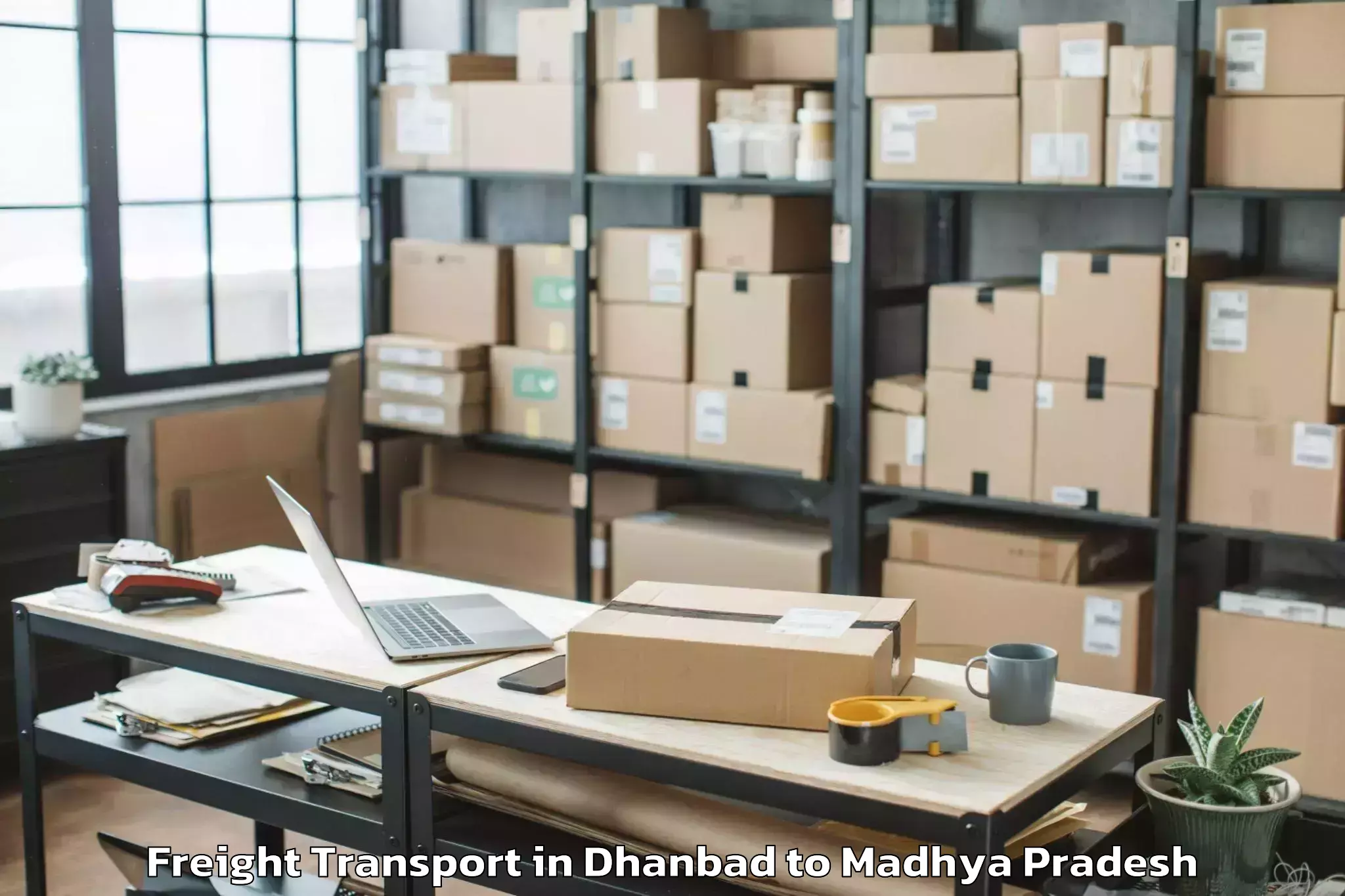 Book Dhanbad to Chanderi Freight Transport